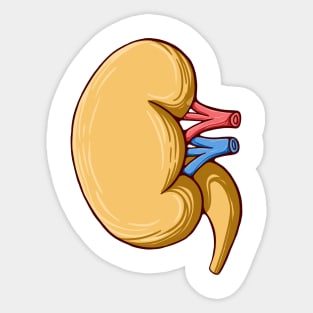 The kidneys Sticker